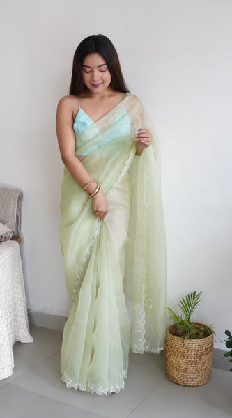 Heavy Organza Saree With Cut out Border