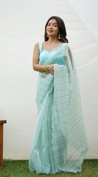 Full Detailing Work With Fancy Cutout Border Organza Saree