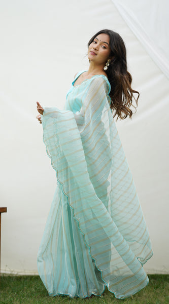 Full Detailing Work With Fancy Cutout Border Organza Saree
