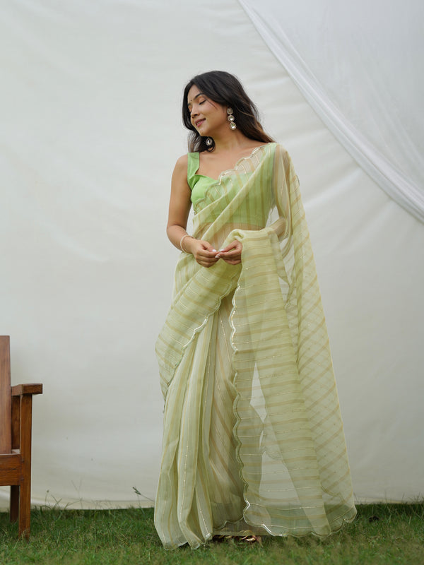 Fancy Cutout Border Organza Saree