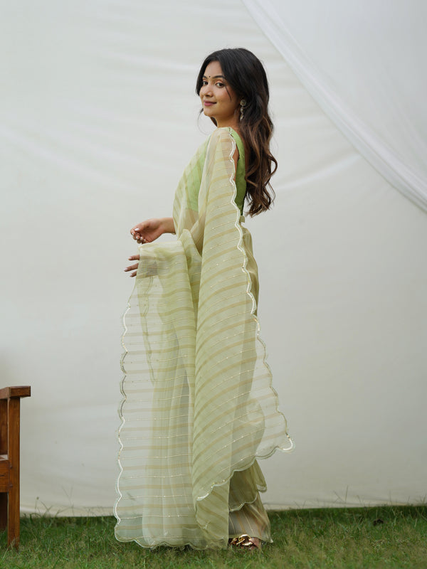 Fancy Cutout Border Organza Saree