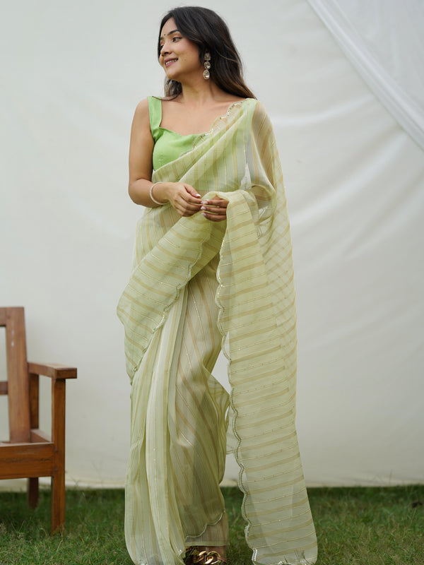 Fancy Cutout Border Organza Saree