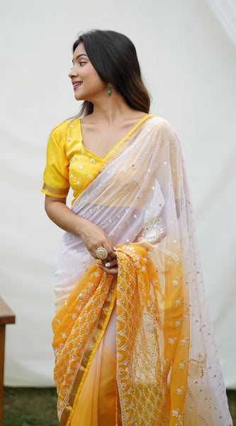 Two Shade Sequence Embroidery Work Georgette Saree