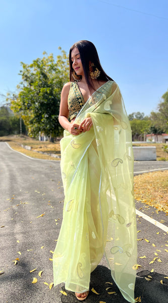 Gota Patti Embroidered Pure Organza Saree