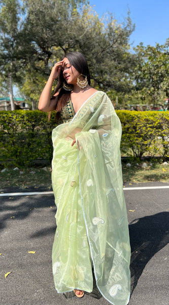 Gota Patti Embroidered Pure Organza Saree