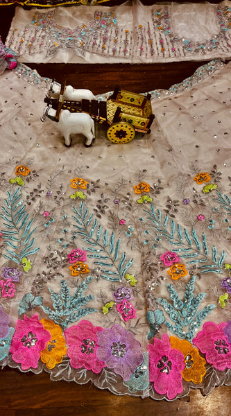 Women Fancy Lehenga