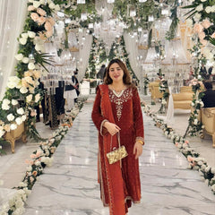 Velvet Embroidered Dresses