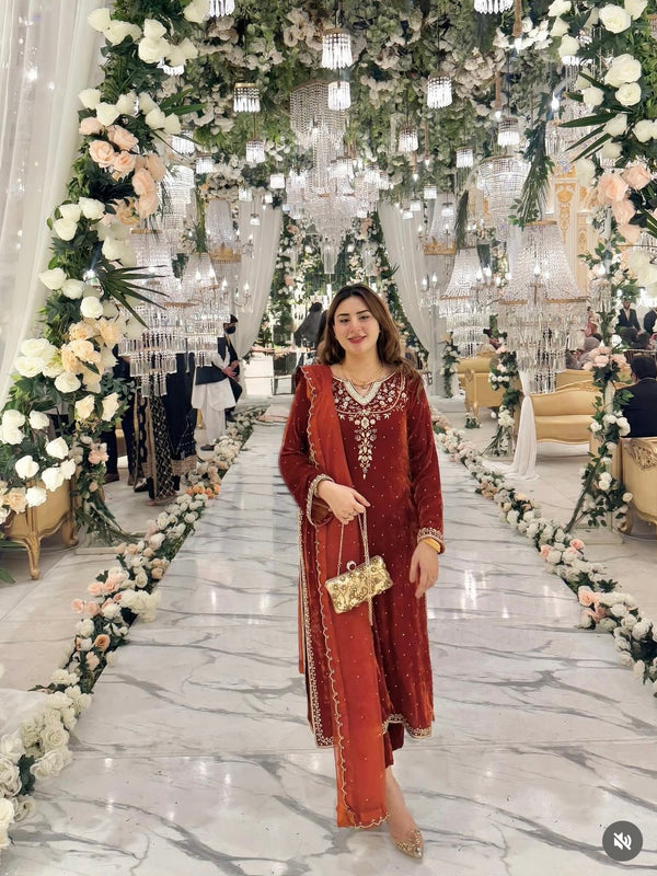 Velvet Embroidered Dresses