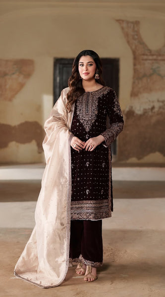 Luxurious Velvet Look Dresses