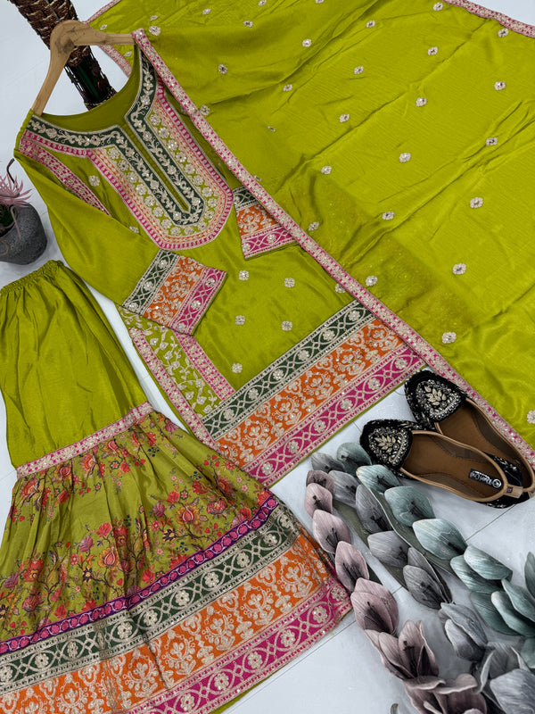 Mirror Work Plazzo Indo Western