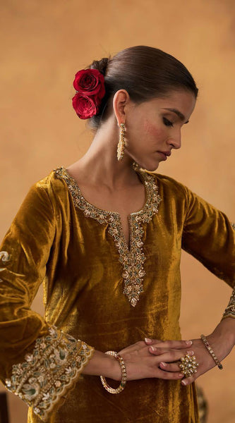 New Launch Velvet Embroidery Dresses