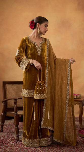 New Launch Velvet Embroidery Dresses