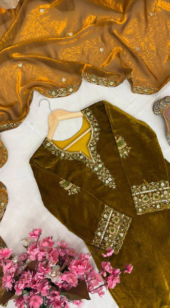 New Launch Velvet Embroidery Dresses