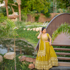 Festive Glam Lehenga Choli