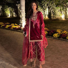 Velvet Winter Designer Dresses