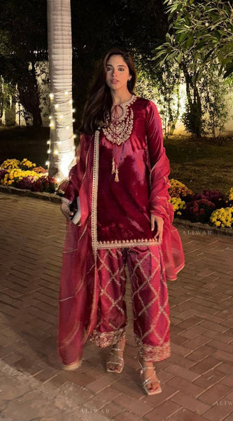 Velvet Winter Designer Dresses