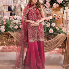 Designer Chinnon Dresses