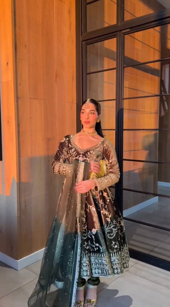 Designer Velvet Dresses