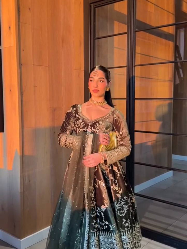 Designer Velvet Dresses