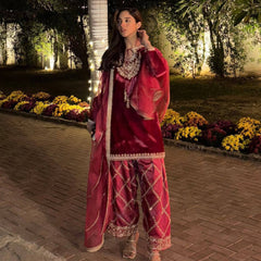 Velvet Winter Designer Dresses