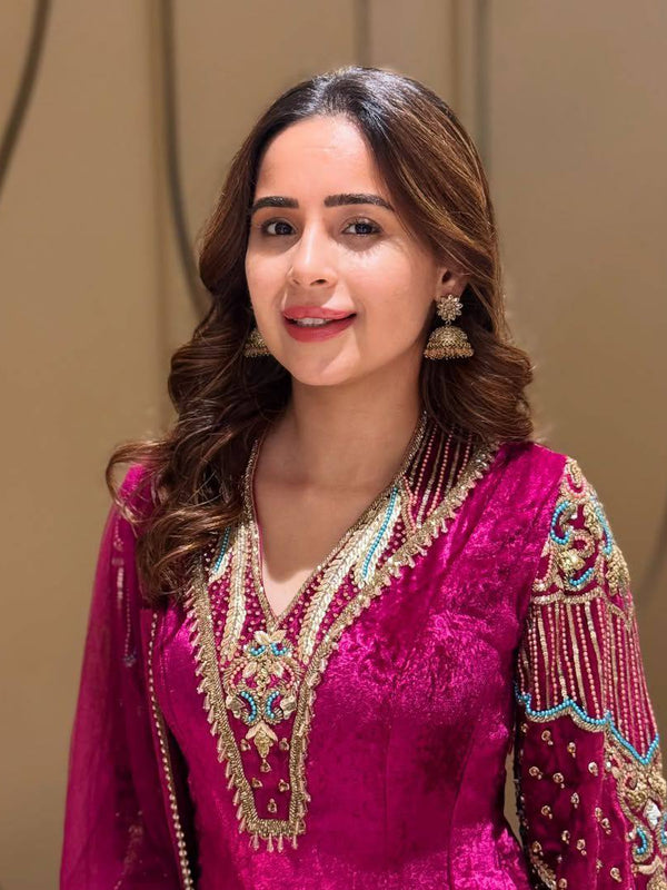 Elegant Velvet Embroidered Dresses