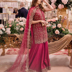 Designer Chinnon Dresses