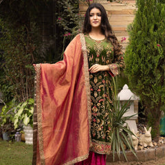 New Launch Velvet Embroidery dresses