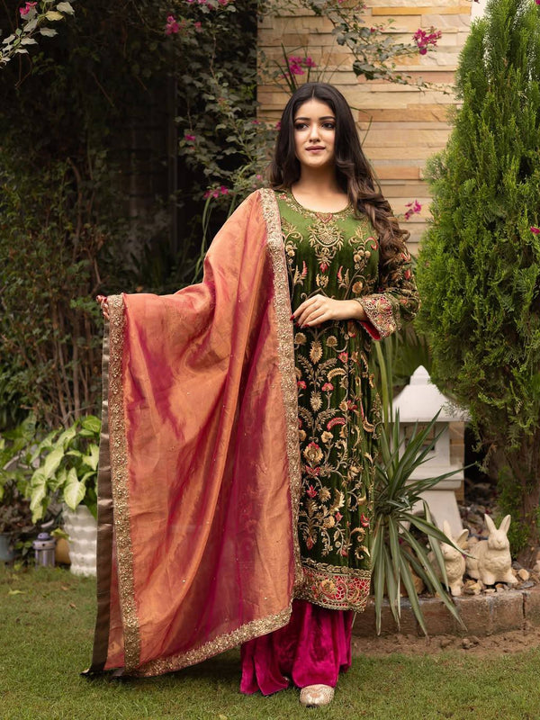 New Launch Velvet Embroidery dresses