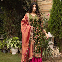 New Launch Velvet Embroidery dresses