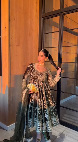 Designer Velvet Dresses