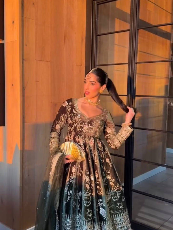 Designer Velvet Dresses