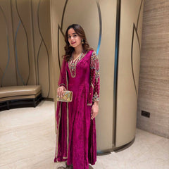 Elegant Velvet Embroidered Dresses