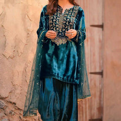 New Designer Velvet Dresses